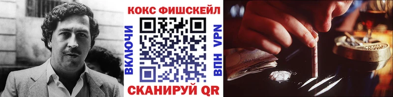 кракен зеркало  Стародуб  COCAIN FishScale 