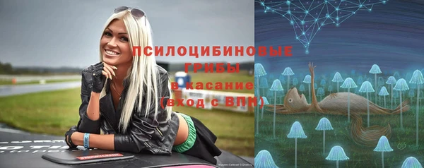 mdpv Армянск
