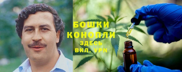 крисы Арсеньев
