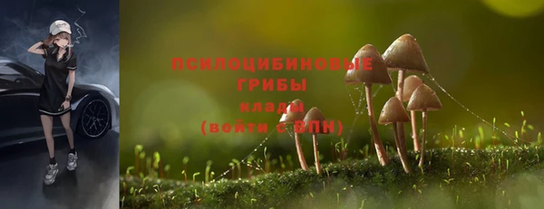 mdpv Армянск