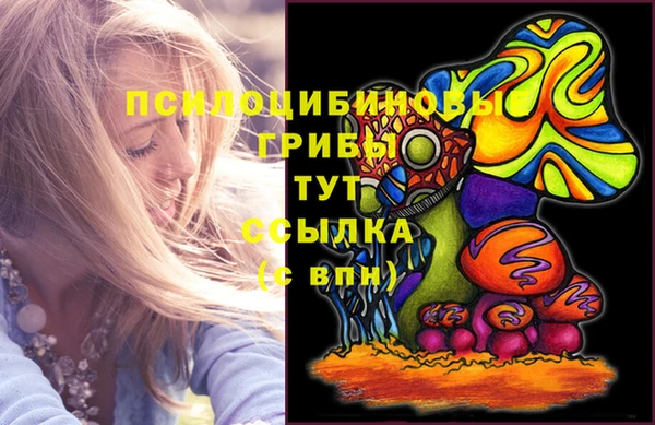 крисы Арсеньев