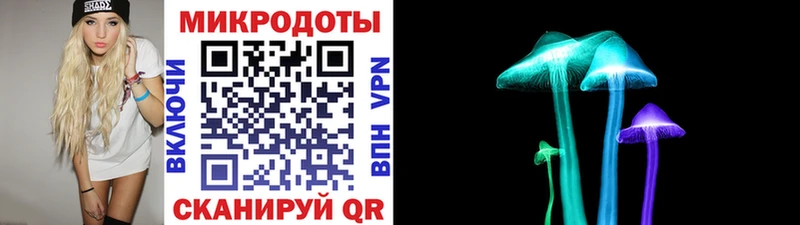 Галлюциногенные грибы MAGIC MUSHROOMS  Стародуб 